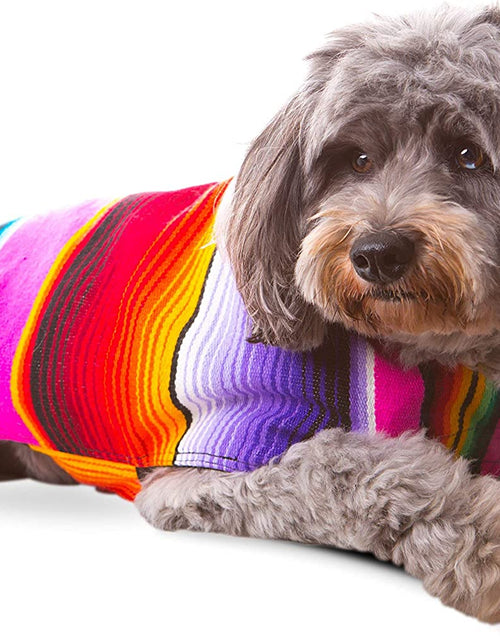 Load image into Gallery viewer, Handmade Dog Poncho from Mexican Serape Blanket - Southwestern and Tie Dye Dog Clothes - Coat - Costume - Sweater - Vest
