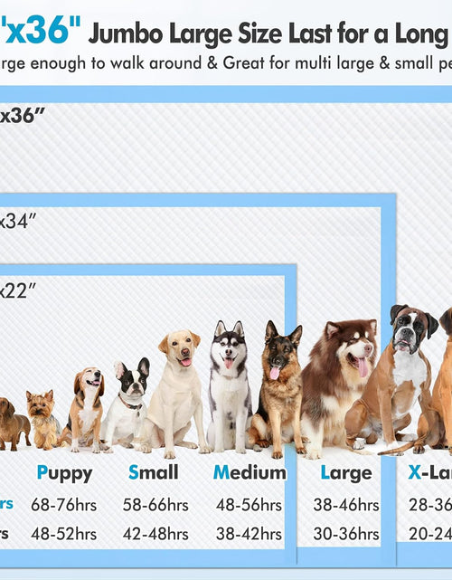 Load image into Gallery viewer, 4XL 36"X36" Thicken Heavy Absorbency Dog Pad Extra Large- Jumbo Disposable Polymer Quick Dry No Leaking Pee Pads for Dogs, Cats, Rabbits Pets 30 Counts
