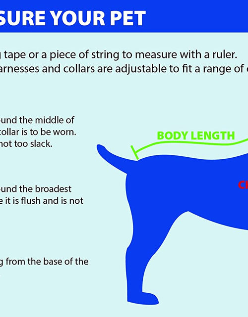 Load image into Gallery viewer, NFL Chicago Bears MESH Jersey for Dogs &amp; Cats
