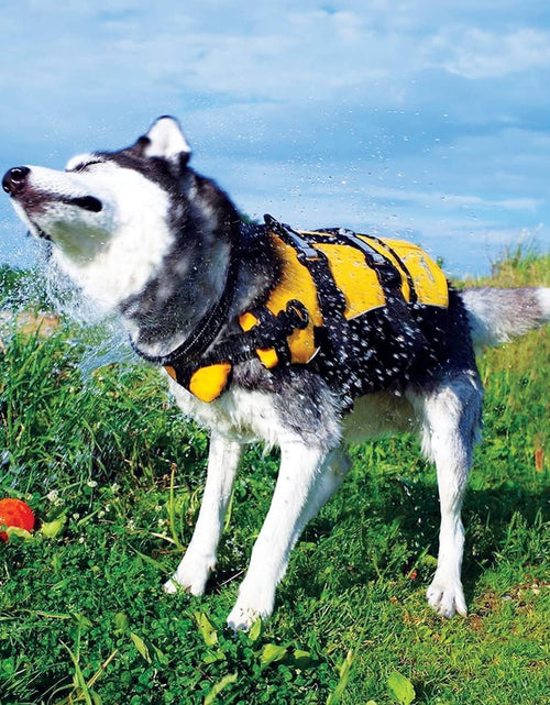 Load image into Gallery viewer, Doggy Flotation Device Dog Life Vest Jacket (DFD)
